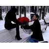 51 роза - способ выразить теплые чувства